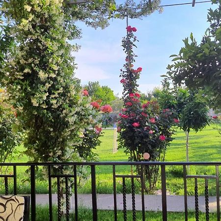 Room With Private Garden Shkodër Екстериор снимка