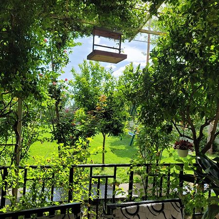 Room With Private Garden Shkodër Екстериор снимка