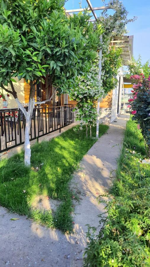 Room With Private Garden Shkodër Екстериор снимка
